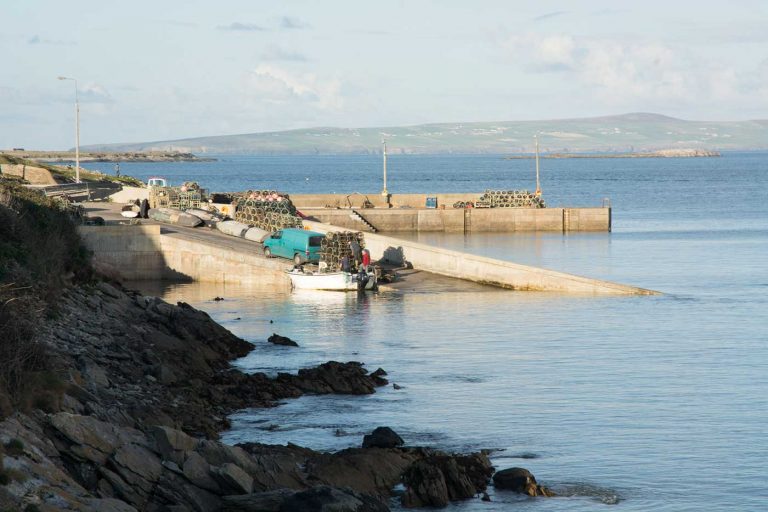 B_Fitzgerald_Photo_141011_-768x512