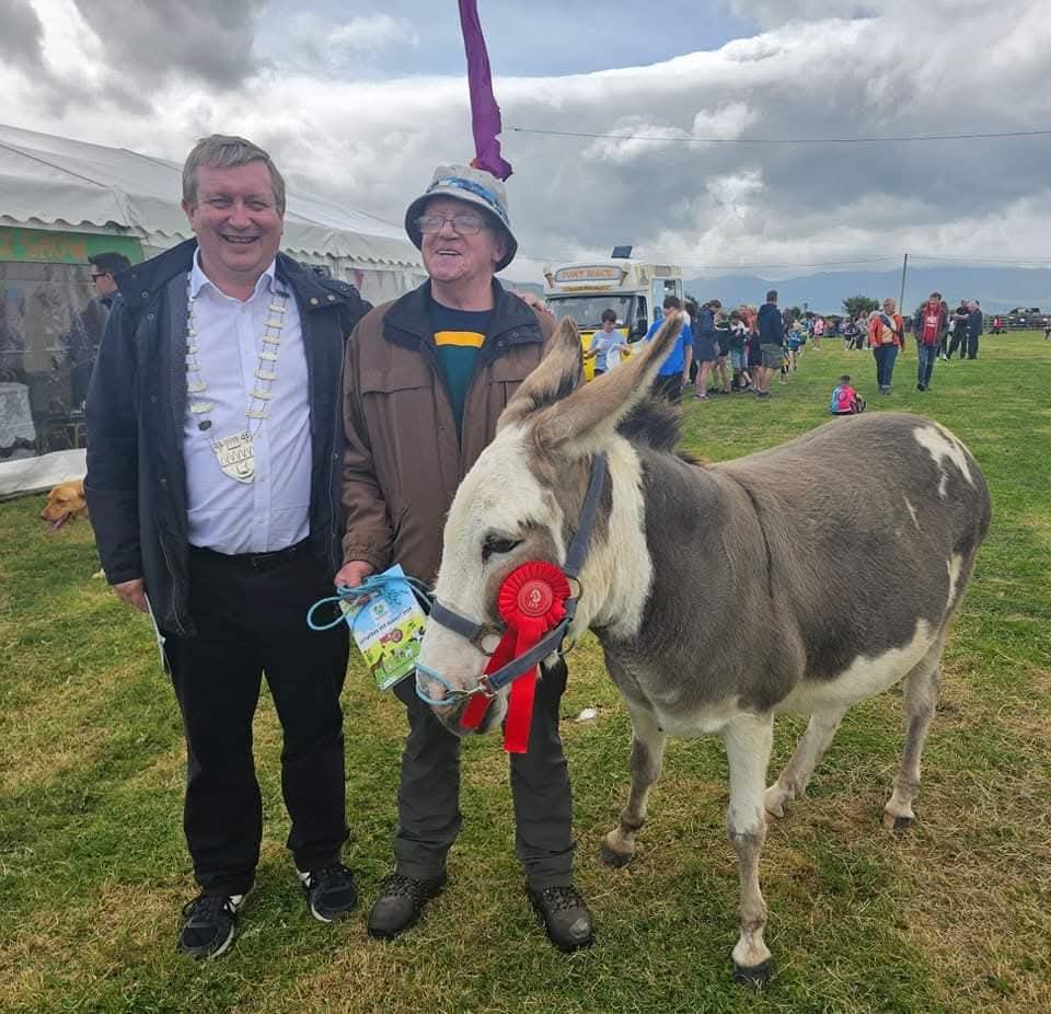 Donkey winner