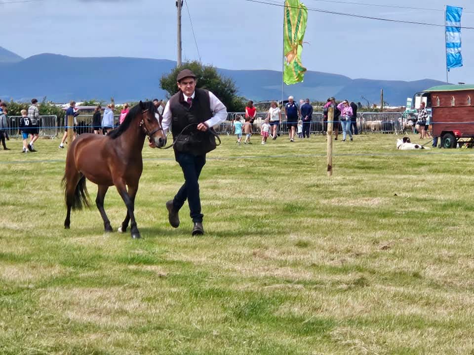 Pony class