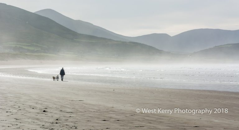 stradbally-beach-featured